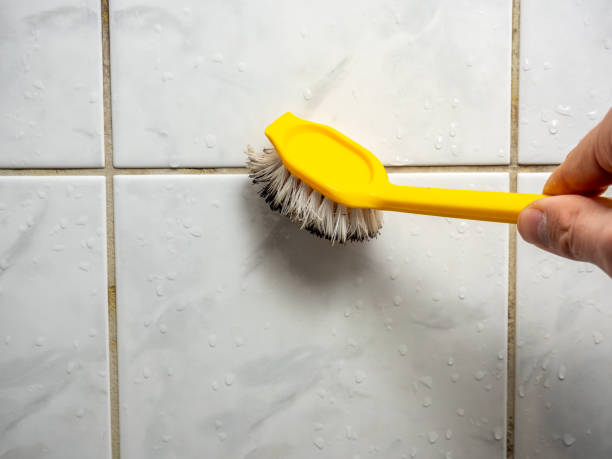 Best Commercial Mold Removal  in Tarpey Village, CA