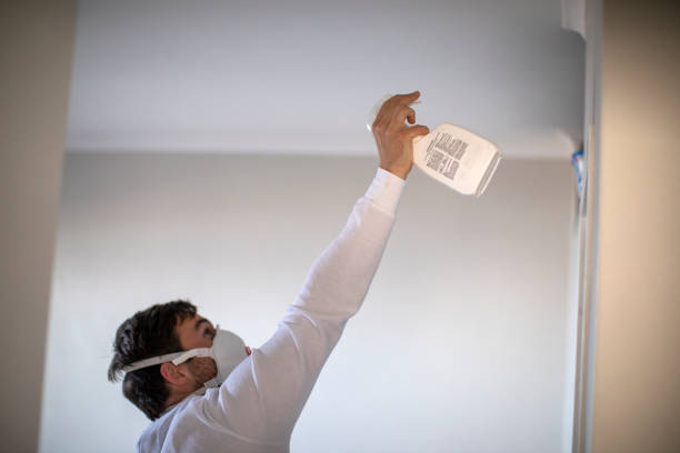 Best Emergency Mold Removal  in Tarpey Village, CA