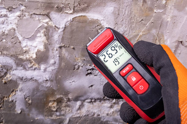 Best Mold Testing  in Tarpey Village, CA