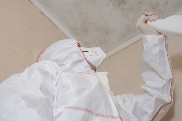 Best Office Mold Removal Services  in Tarpey Village, CA