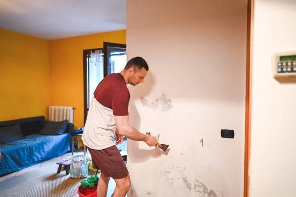 Best Mold Remediation  in Tarpey Village, CA